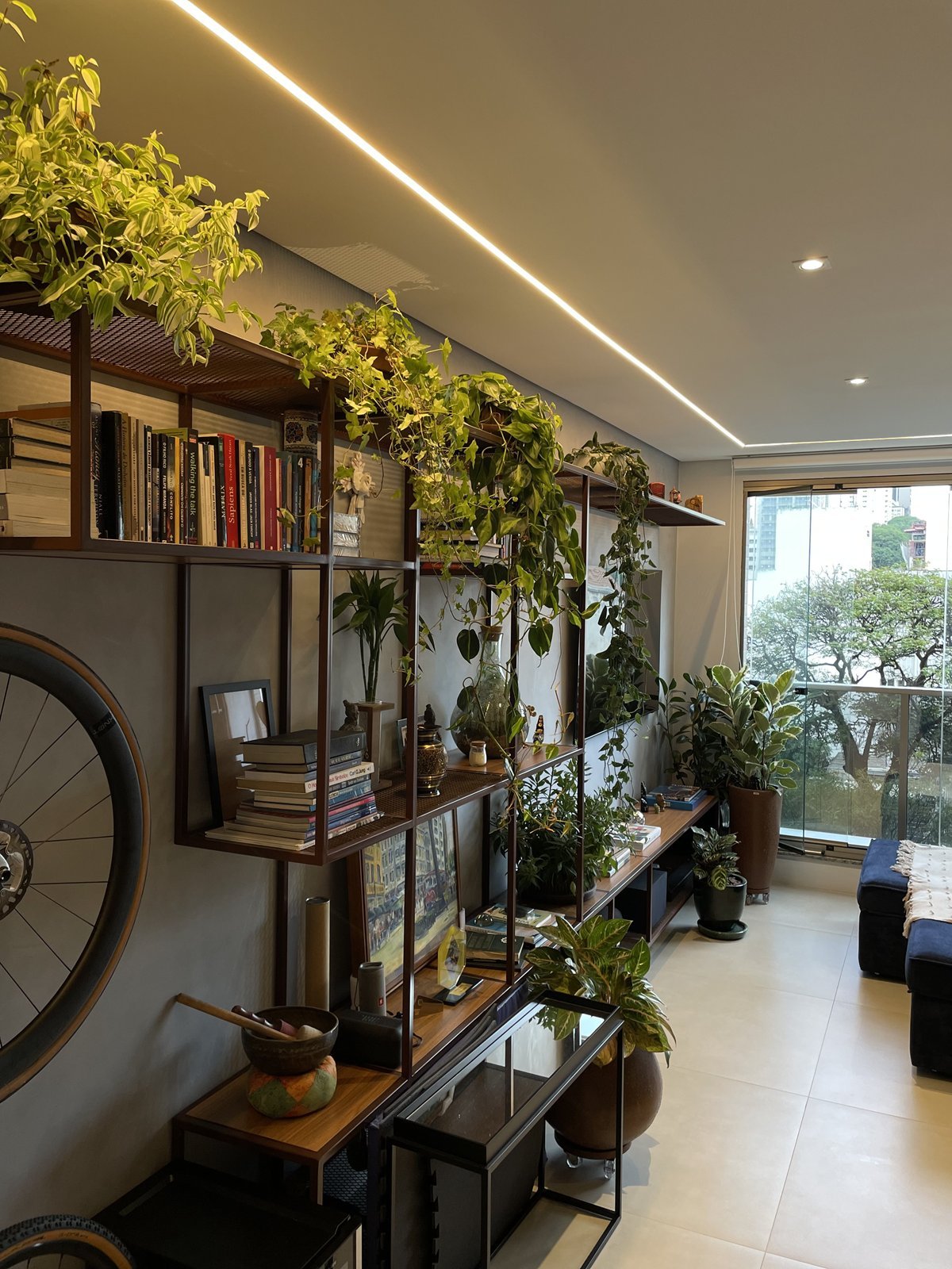 Ambiente com estante em ferro pintado, livros e plantas