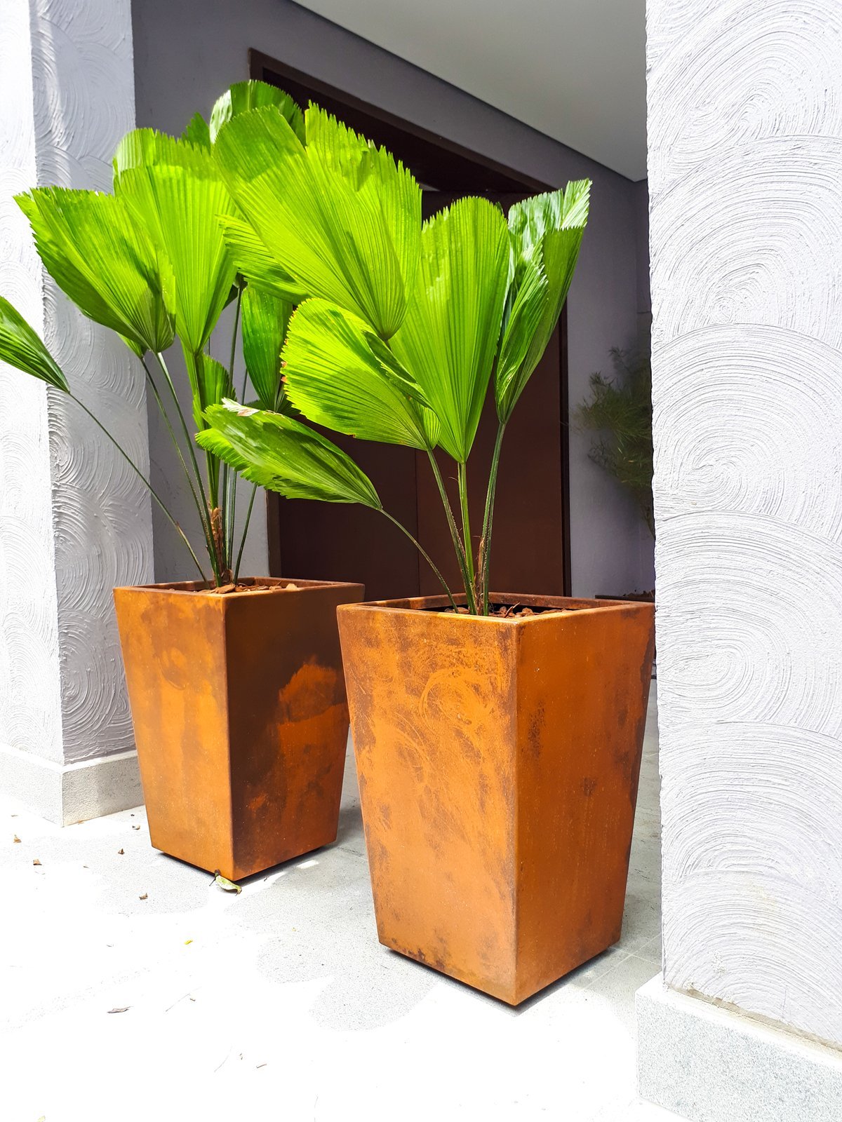 Vasos altos em aço corten com plantas